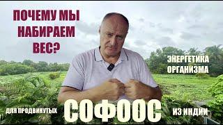 СОФООС  ПОЧЕМУ МЫ НАБИРАЕМ ВЕС?