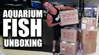 AQUARIUM FISH UNBOXING!