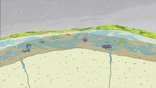 The World of Geology - Erosion and Limestone Pavement