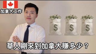 2022年加拿大華人真實收入公開  | 剛到加拿大賺幾多? 工作幾年後又賺幾多? (中文字幕)