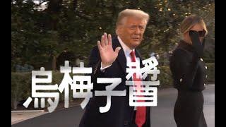 特朗普教你唱国语《乌梅子酱》Donald Trump Sings in Chinese