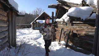 Woman lives alone in Taiga forest in abandoned village. Far from civilization. Life in Russia