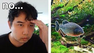 Please help, my angelfish ate all his tankmates | Fish Tank Review 276