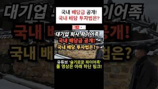 ⭐️국내 배당금 공개? | 파이어족 국내 배당 투자법은?