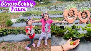 Strawberry Farm in Bohol with Nathaly and Nadine