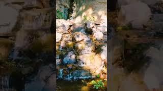 Have you ever seen a Water Feature like this?  #shorts