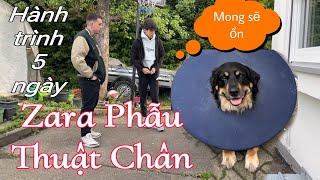 Hành trình phẫu thuật chân Zara cả nhà lo lắng. Bất ngờ với kết quả sau 5 ngày | Cuộc sống ở Đức