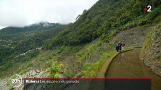 Rizières : Les escaliers du paradis