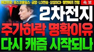 [2차전지] [에코프로 포스코홀딩스 금양 삼성SDI LG엔솔 엔켐 엘앤에프 주가전망]주가하락 이유와 반등시기