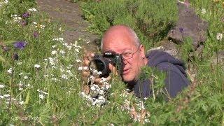 Schöne Makrofotos vor der eigenen Haustür - Blende 8 - Folge 100