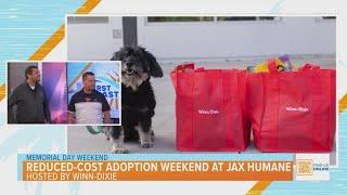 Reduced-Cost Adoption Weekend at Jax Humane Society Hosted by Winn-Dixie