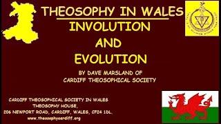 Involution and Evolution by Dave Marsland