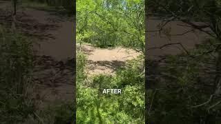 New Kill Plot.   #outdoors #morganwallen #deerhunting #foodplot #diy
