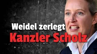 Weidel und AfD Fraktion STINKSAUER wegen SCHOLZ