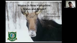 Nature Program Series: NH Moose Population with Henry Jones