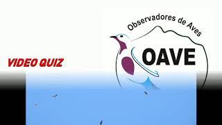 ¿Puedes identificarlos?