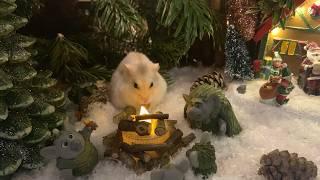 My Hamster's Christmas Adventure !! 