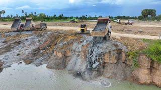 Best Incredible Bulldozer 60P and Dump Truck Showing Skill Technique Filling Mud Into Big Pond