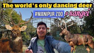 Manipur zoological Garden || Manipur Zoo || #zoo #animals #manipur #vlog #sangai