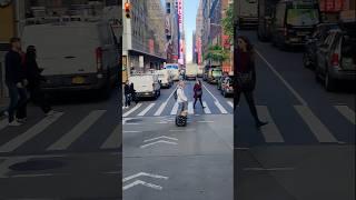 segway dog cruisin' NYC