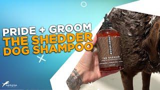 Review: Pride + Groom The Shedder Dog Shampoo