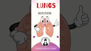 Lung sounds - Auscultate and familiarise #shorts #medico #lungs