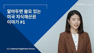 [알쓸미지 #1] 미국 상표 출원은 돈 먹는 하마일까? 등록 절차 총정리 (노잼 주의)