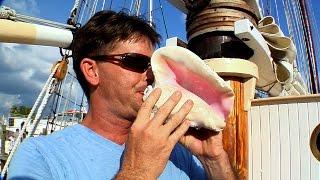 How To Blow a Conch Shell