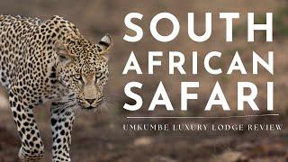 Luxury African Safari at Umkumbe Bush Lodge | Sabi Sands Big 5 Experience in South Africa