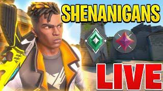 Short Stream NEW VID OUT  !rank | PS5 ENG *LIVE*  #livestream