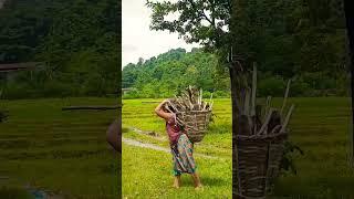 Natural beautiful Bahuta Boder #viral #reels #bhutan