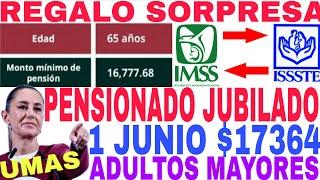 SUBE $17,364 PENSIÓN IMSS ISSSTE FONDO PENSIÓN BIENESTAR 1 JUNIO PENSIONADOS JUBILADOS SHEIMBAUN