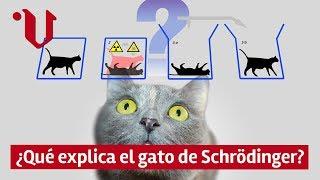  ¿Qué explica el gato de Schrödinger? |  La paradoja del gato cuántico al detalle