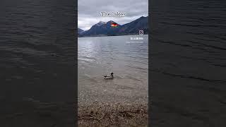 #duck #lake #travel #vacation #viral #trending #shorts #reels #goodvibes #germany #europe #indian