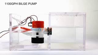 SEAFLO 1100GPH Bilge Pump