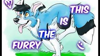 This is The Furry