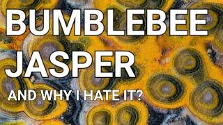 BUMBLEBEE JASPER - AND WHY I HATE IT