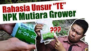 Jangan Salah Beli. Review Tuntas Pupuk NPK Mutiara Grower, Waktu & Cara Aplikasi Pemupukan