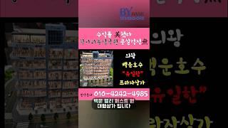 백운밸리 유일한 프라자상가 퍼스트원 분양  #상가분양 #유튜브부동산 #부동산투자 #부동산 #분양 #분양뱅크