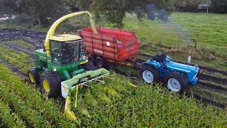 Youngtimer corn silage!