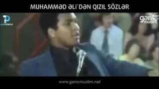 Mehemed Alinin  QIZIL SOZERI