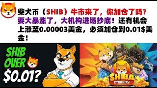 柴犬币（SHIB）牛市来了，你加仓了吗？要大暴涨了，大机构进场抄底！还有机会上涨至0.00003美金，必须加仓到0.01$美金！shib币|柴犬币|屎币行情分析！