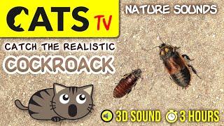 GAME FOR CATS - Realistic cockroach bug [CATS TV] 3 HOURS