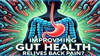 How Improving Gut Health helps Relieve Back Pain