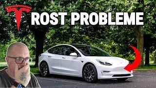 TESLA MODEL 3 MIT ROST PROBLEMEN | NUR STOFFSITZE 