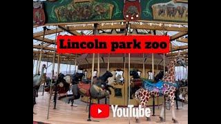 Lincoln Park Zoo - Chicago - DuchessDeeJordan  - HD 720p