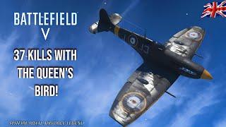 Battlefield V - Spitfire MKVB Gameplay Score 37-1 (100Th Video)