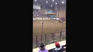 Buggy Queen MRCA/URA New Year's Eve rodeo Hale Arena KC MO