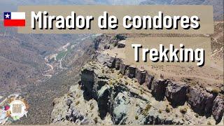 Mirador de cóndores cajon del Maipo| Trekking | Chile | 4K