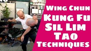 Sil Lim Tao Techniques - Ip Man Wing Chun - Lo Man Kam 葉問 詠春拳 盧文錦